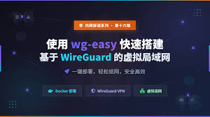 别再被昂贵的专线绑架了！WG综合包网低成本替代方案与实操避坑指南